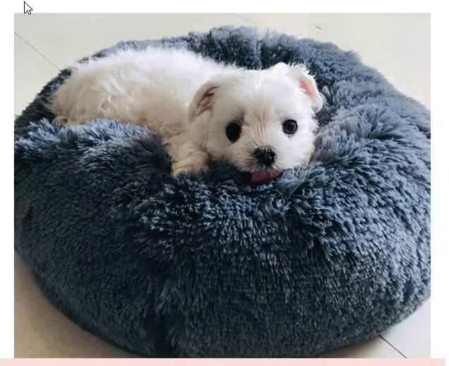 Super Soft Pet Dog Bed Long Plush